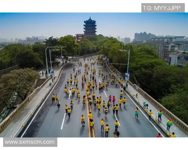 武汉排球队的奋斗历程与荣耀时刻全景纪实