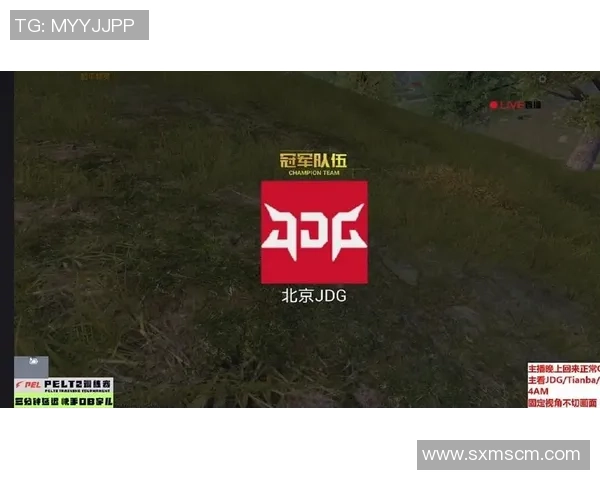 最新和平精英战术排行榜揭晓JDG战队表现卓越引领潮流